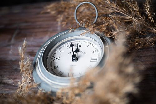 Stillevende " Tijd zal het leren"