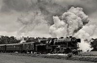 Stoomlocomotief rijdt op het platteland van Sjoerd van der Wal Fotografie thumbnail