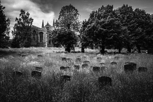 The Great Church Yard