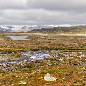 Hardangervidda 7 van Rob Liefveld