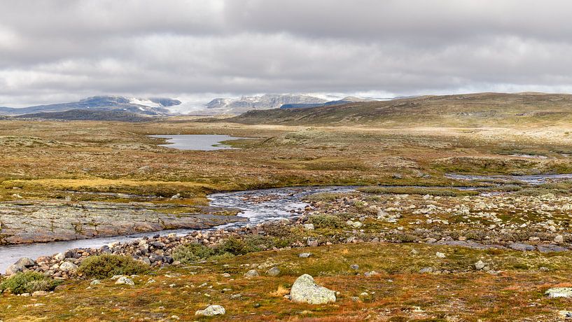 Hardangervidda 7 von Rob Liefveld
