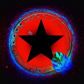 Black Star by Leanne Buskermolen