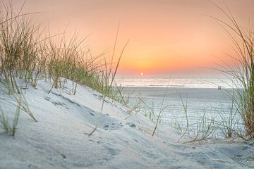 Strand en Duinen bij Zonsondergang van Fotografiecor .nl