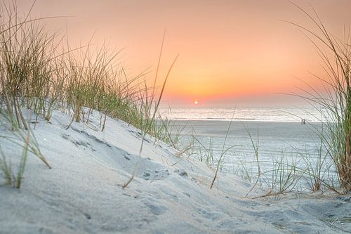 Beach and Dunes at Sunset
