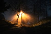 Kronenburgerpark bij nacht