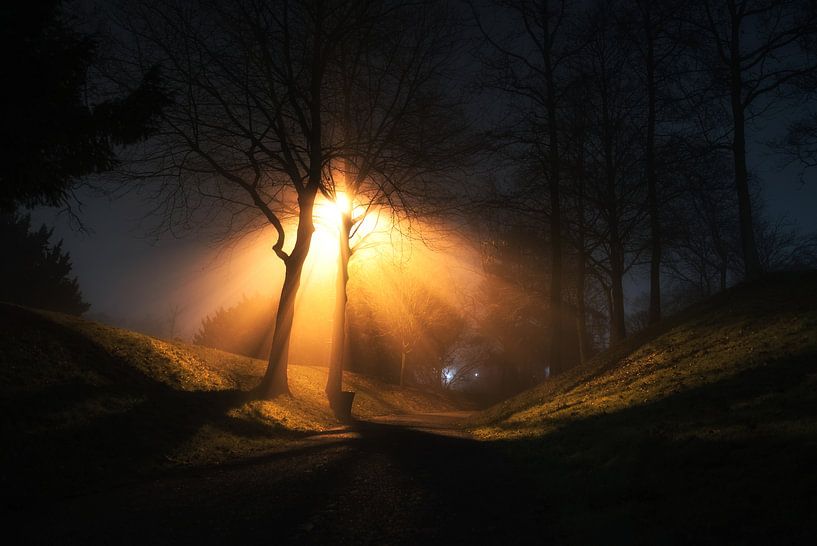 Kronenburgerpark bij nacht by Emil Cobussen