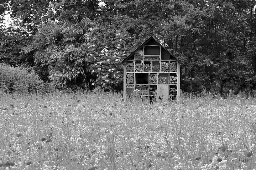Insect hotel in black and white by Jose Lok