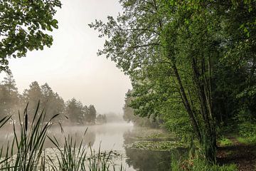 Mistresten boven de Schwackenreuter meren bij Mühlingen - Baden-Württemberg van BlattArt - Christine Horn
