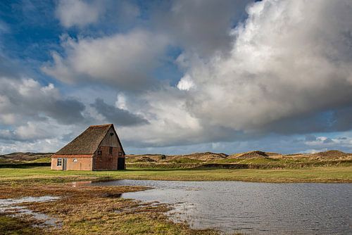 Texel boerderij(schapenboet) met hollandse lucht