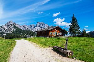Blick auf die Litzlalm mit Hütte in Österreich
