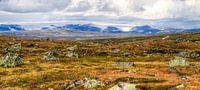 Glacier View - Hardangervidda National Park van Colin van der Bel thumbnail