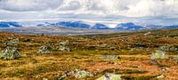 Glacier View - Hardangervidda National Park