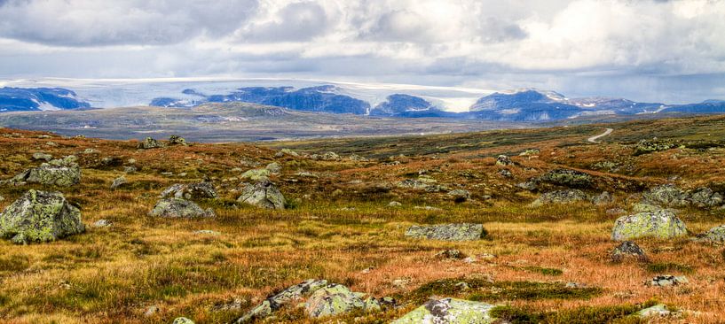 Glacier View - Hardangervidda National Park van Colin van der Bel