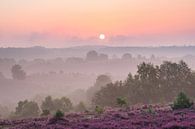 View over the Posbank by Michel Knikker thumbnail