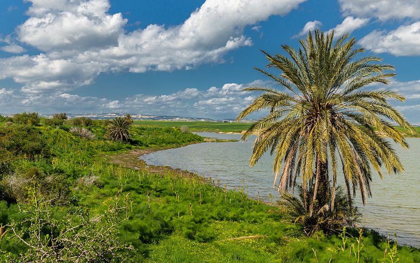 Zoutmeer van Larnaca, Cyprus van Adelheid Smitt