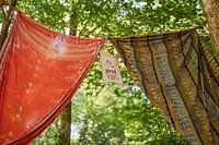 Festival camping vibes