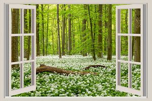 Blick durch das Fenster in den Frühlingswald
