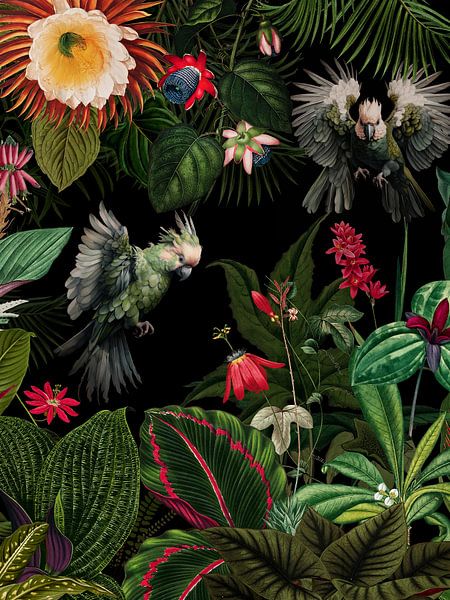 Vintage Midnight Tropischer Dschungel mit exotischen Vögeln 1 von Floral Abstractions