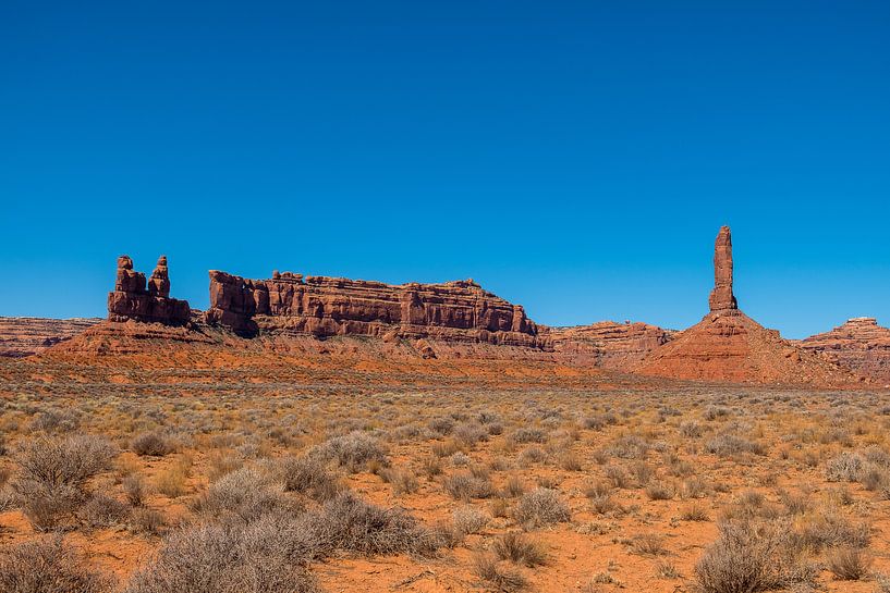 Valley of the Gods, Utah by Richard van der Woude