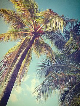 palmboom van Ivana Luijten