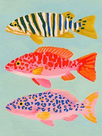 Trois poissons tropicaux