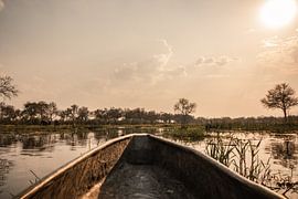 Fauler Nachmittag von Aniek - Through Blue eyes