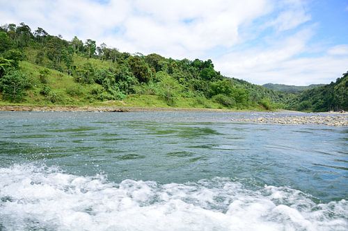 Conquering the rapids