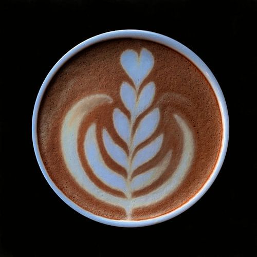 Cappuccino IV