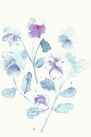 Whispers in Blue sur Siobhan Bradfield