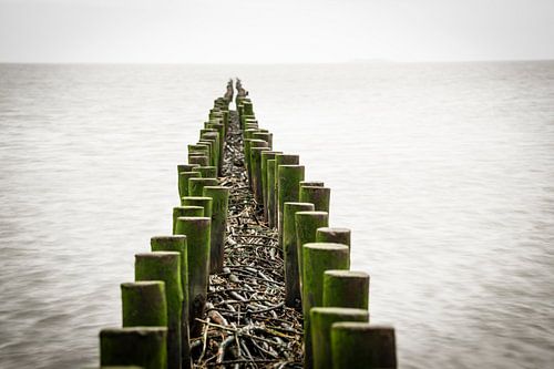 Buhne im Wattenmeer von Annette Sturm