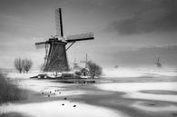 Windmolens Kinderdijk 06 van Ruud Peters thumbnail