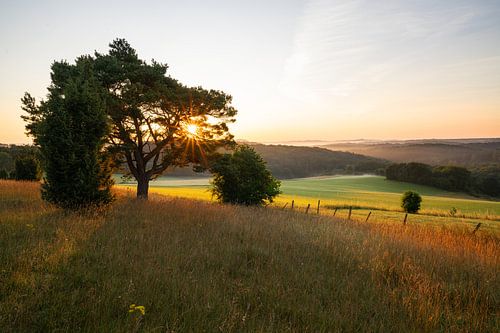 Calvarieberg, Blankenheim, Eifel, Duitsland