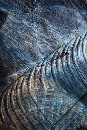 Houtstructuren in prachtige blauwe en bruine tinten