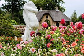 Gemengde dahlia op kasteelpark Keukenhof van Arie van Vugt