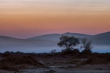 sunrise Sossusvlei by Peter Poppe