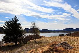Noorwegen Landschap by Anton Roeterdink