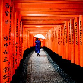 Fushimi-inari Torii by Maaike Van Den Meersschaut