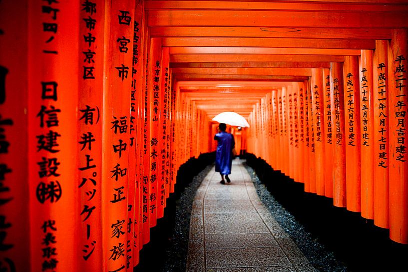 Fushimi-inari Torii by Maaike Van Den Meersschaut