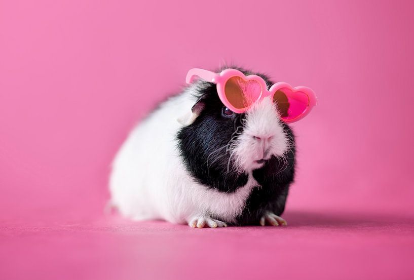 Guinea pig Heart Glasses by Marloes van Antwerpen
