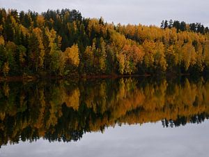 Herbstwald in Norwegen, der sich im Wasser spiegelt
