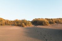 Evening at the Beach