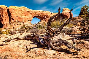 Fenêtre avec tronc d'arbre mort dans le parc national d'Arches en Utah (États-Unis) sur Dieter Walther