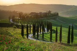 Toscane, Podere Belvedere à Val d' ; Orcia sur Petra vd Berg