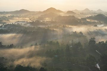 Chocoladeheuvels op het eiland Bohol in de Filippijnen bij zonsopgang met mist in de vallei van Daniel Pahmeier