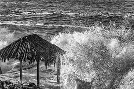 Big Splash At The Surf Shack by Joseph S Giacalone Photography