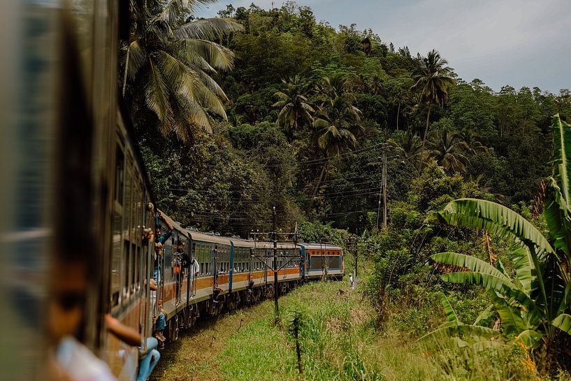 Sri Lanka, voyage en train mondialement connu de Kandy à Ella par Iris Zebli