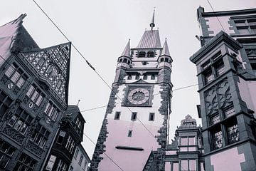 Martinstor Freiburg in sw