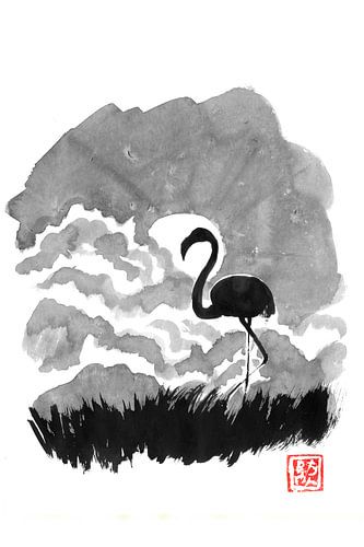 pink floyd in the valley