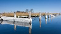 Eiszapfen und gefrorenes Wasser an der Uferpromenade von Menno Schaefer Miniaturansicht