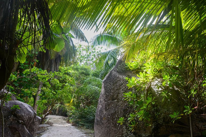 Tropische Natur von Bettina Schnittert